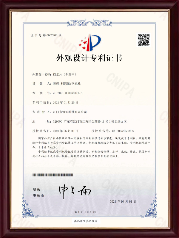 Design Patent Certificate (53)