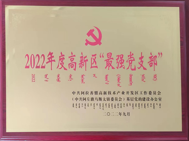 2022 Strongest Party Branch in High-tech Zone