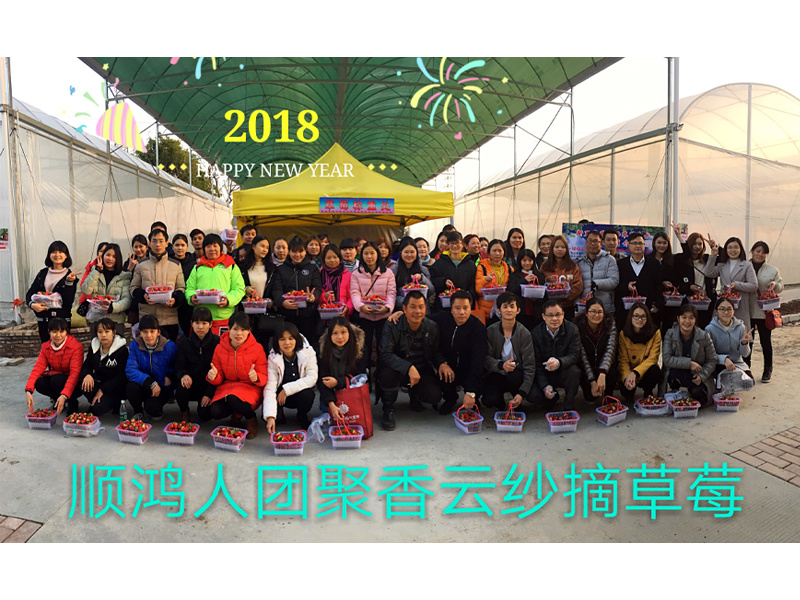 圖片名稱