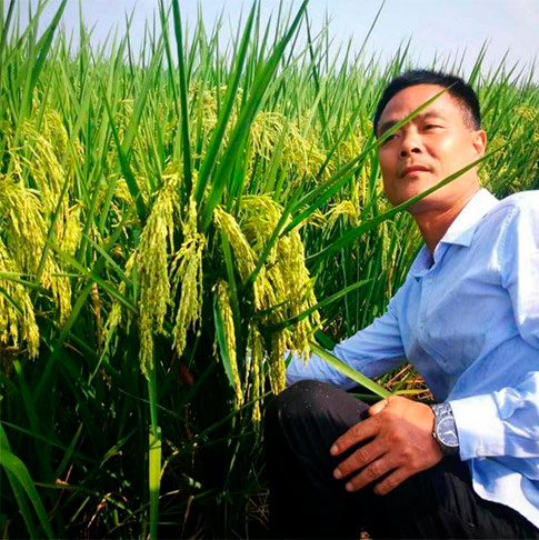 湖南沅江育種基地