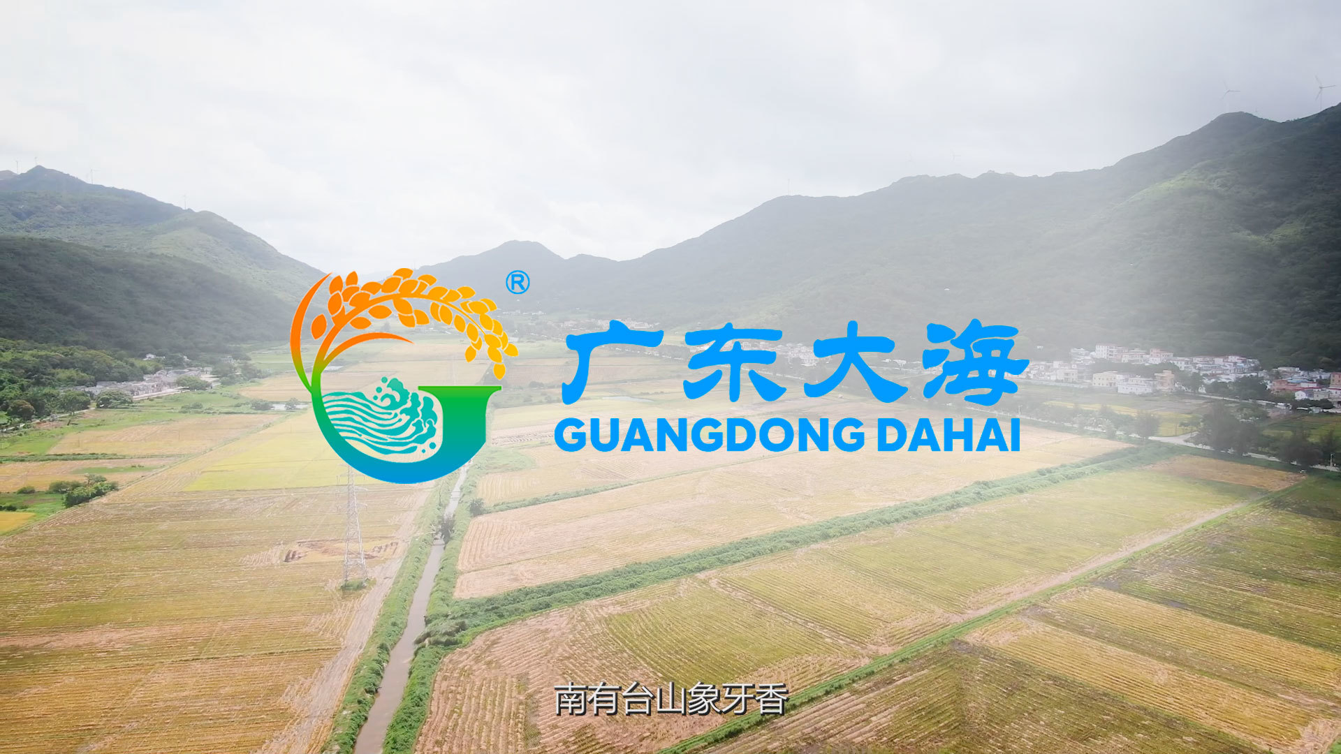 視頻標題 視頻標題