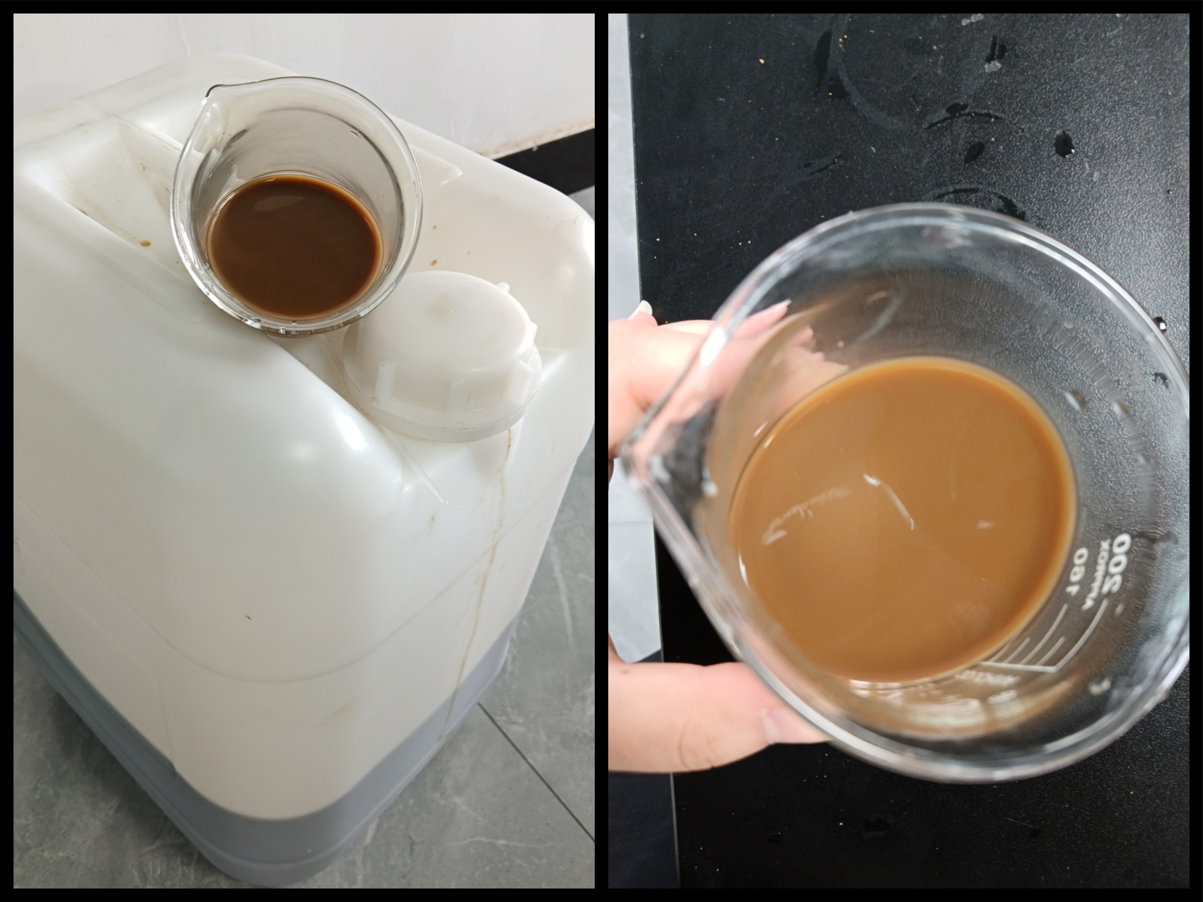 "Innovative Fusion: Dr. Song Weiguang and Morning Light Concept, Huaren Explores New Application of Ginkgo Leaf Waste Liquid Feed"
