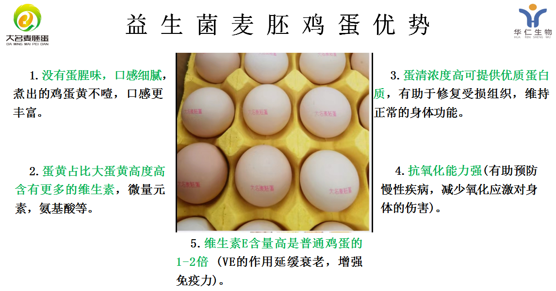 麦胚蛋