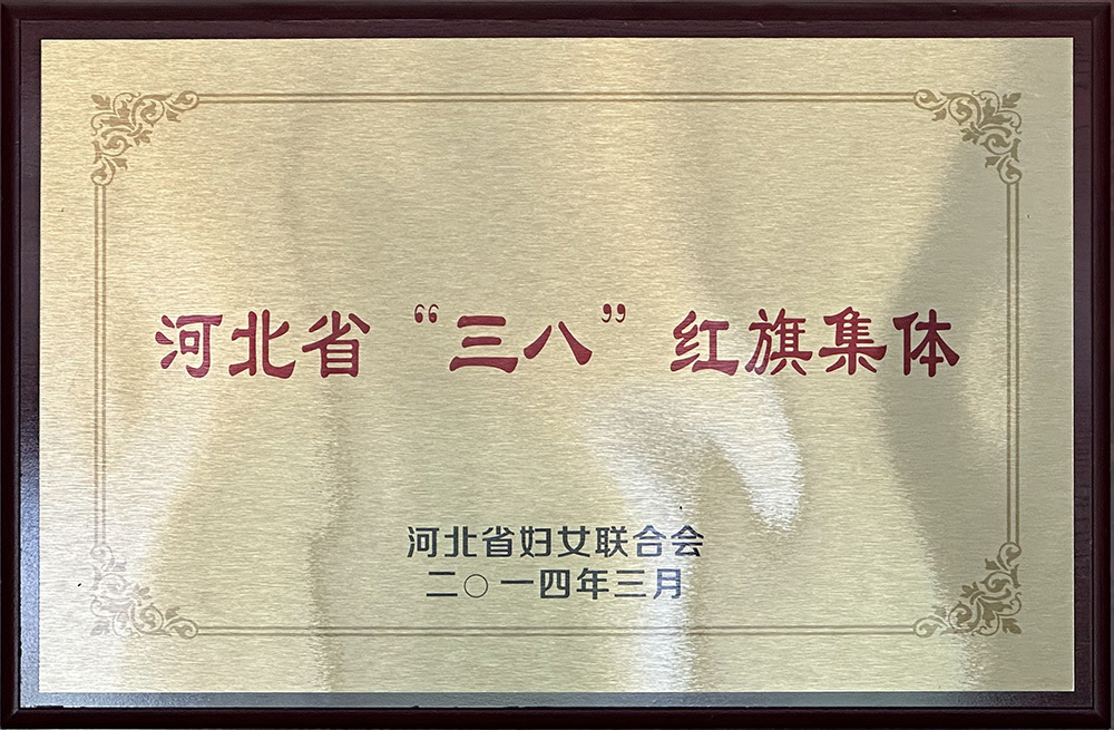熱烈慶祝合力達(dá)公司榮獲“河北省三八紅旗集體”榮譽稱號