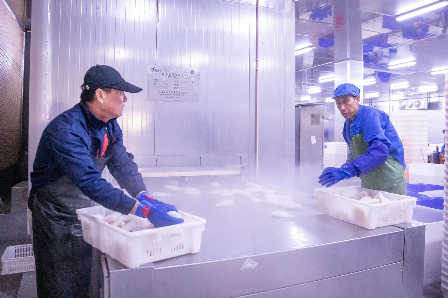 Processing and making of frozen fish Processing and making of frozen fish