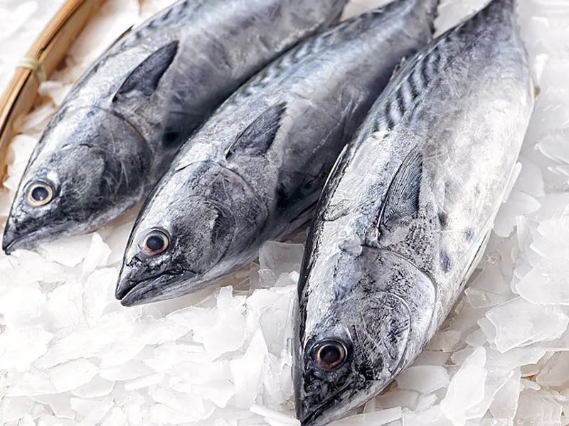 Frozen bonito