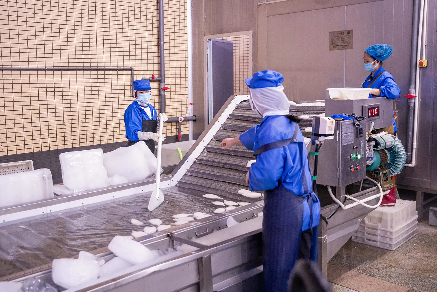 Processing and making of frozen fish Processing and making of frozen fish