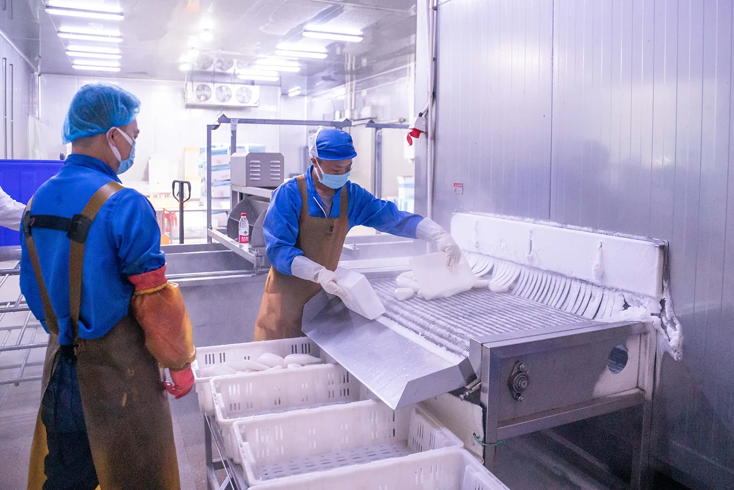 Processing and making of frozen fish Processing and making of frozen fish