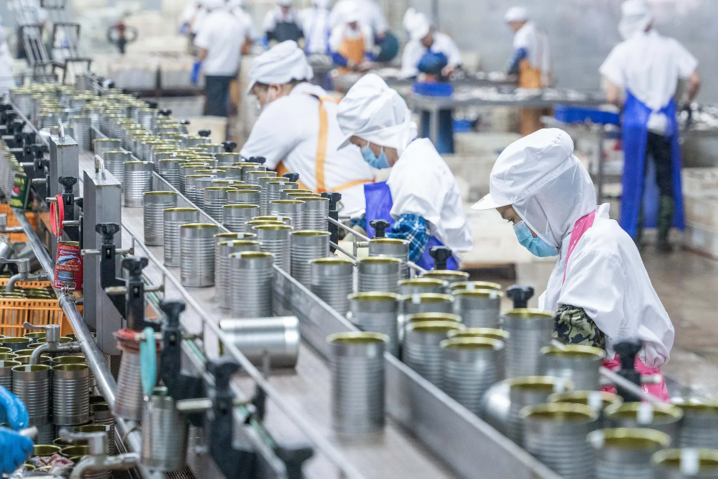 Processing and making of canned fish Processing and making of canned fish