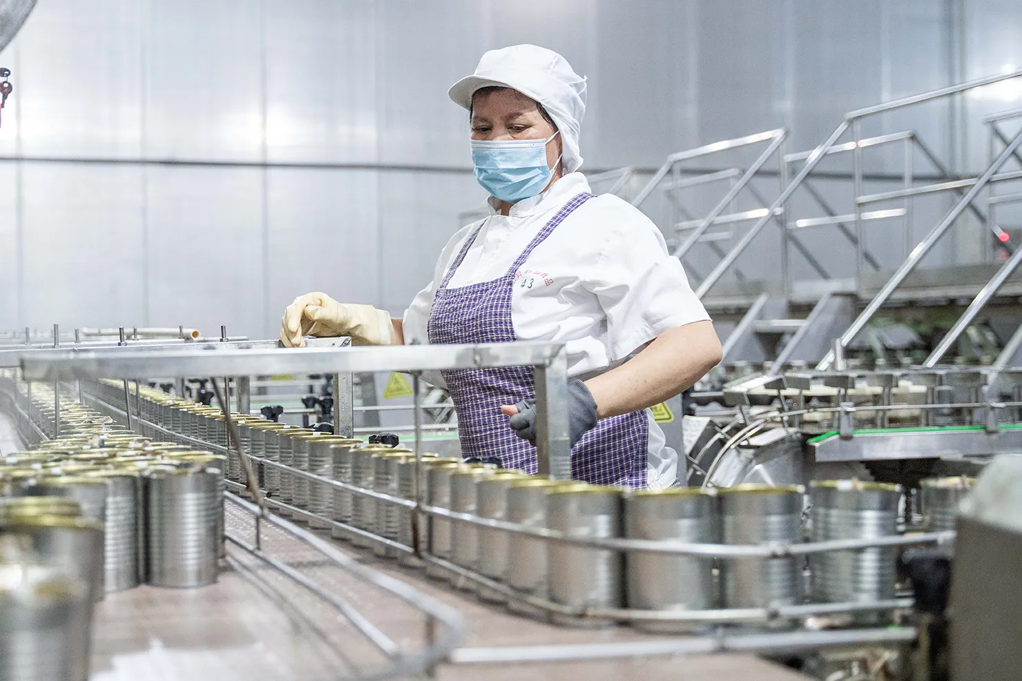 Processing and making of canned fish Processing and making of canned fish