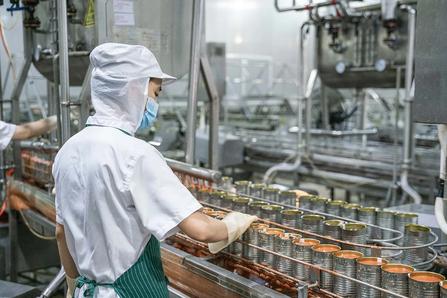 Processing and making of canned fish Processing and making of canned fish