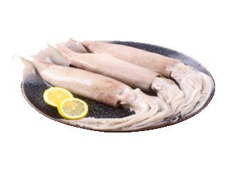Frozen squid