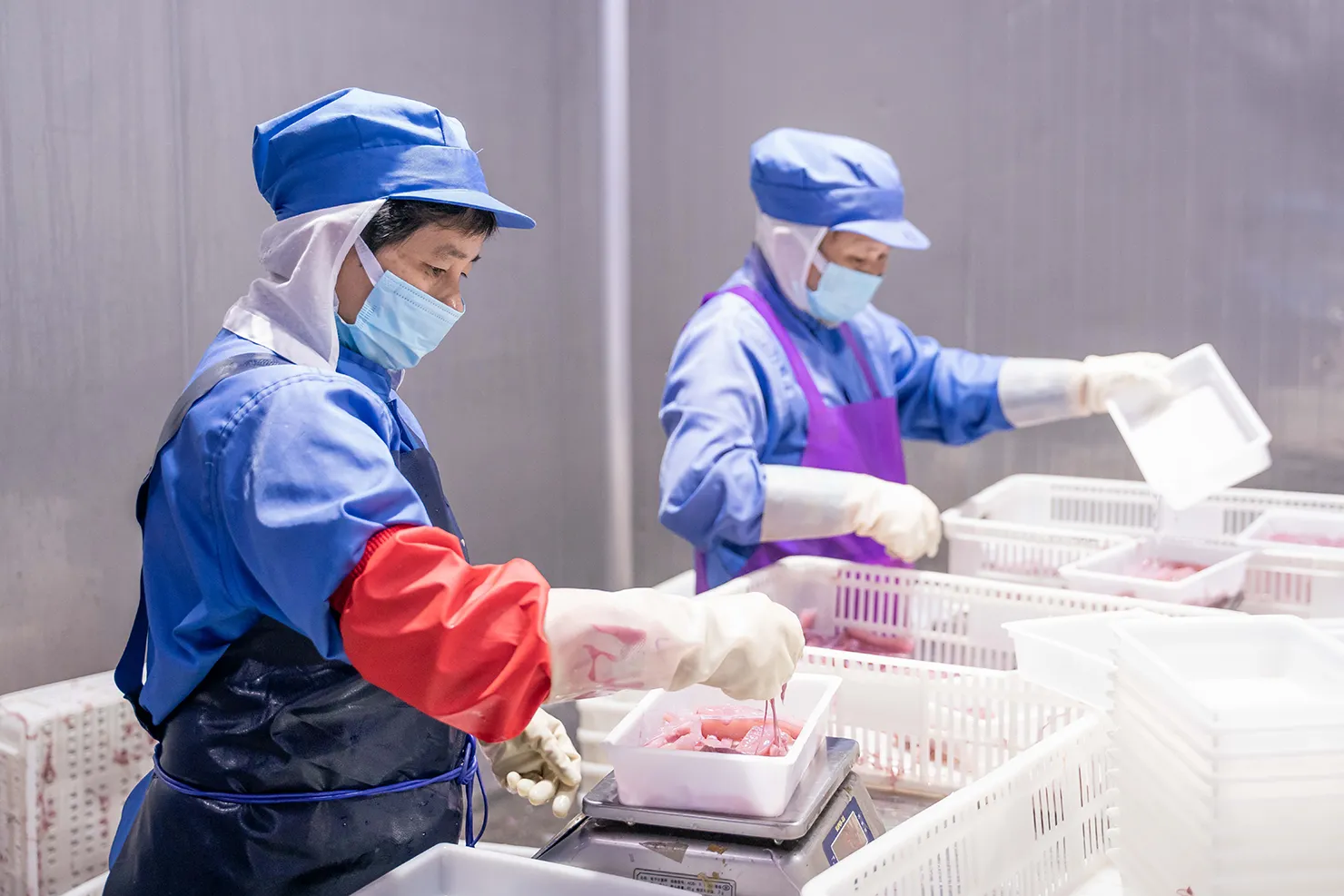 Processing and making of frozen fish Processing and making of frozen fish