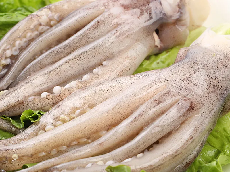 Frozen Squid Head