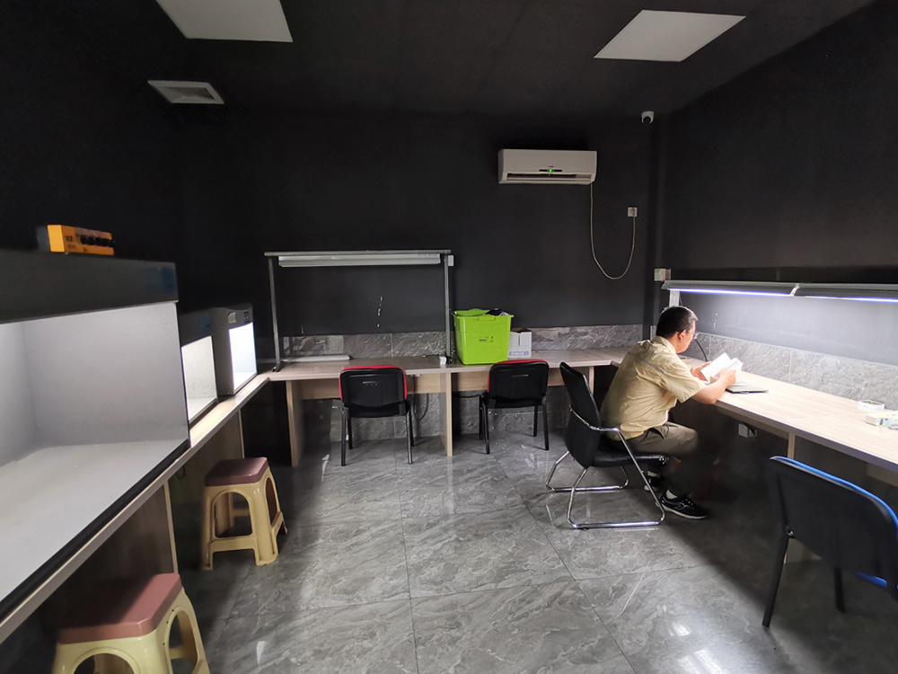 Office area Office area