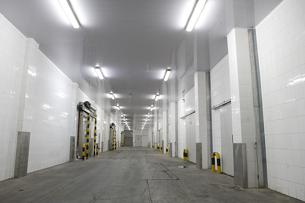 Factory Tour