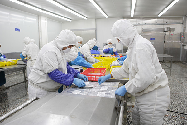 Factory Tour