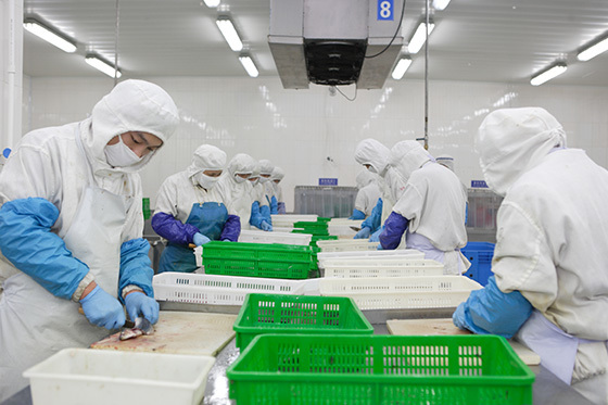 Regulations Amending the Food and Drug Regulations (Halal food)