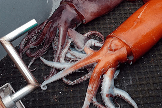 Food Standards News 111 - April 2014