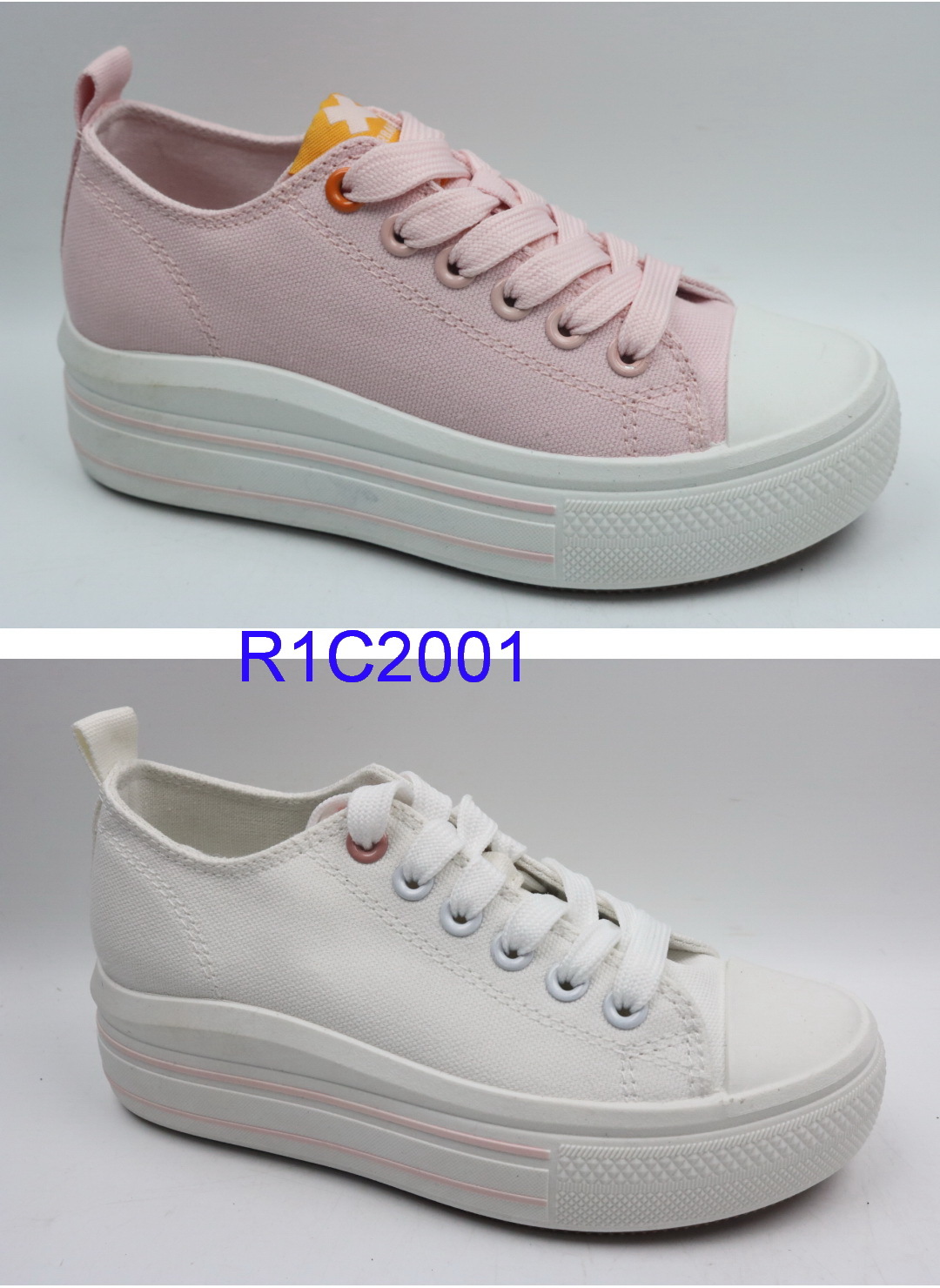 R1C2001