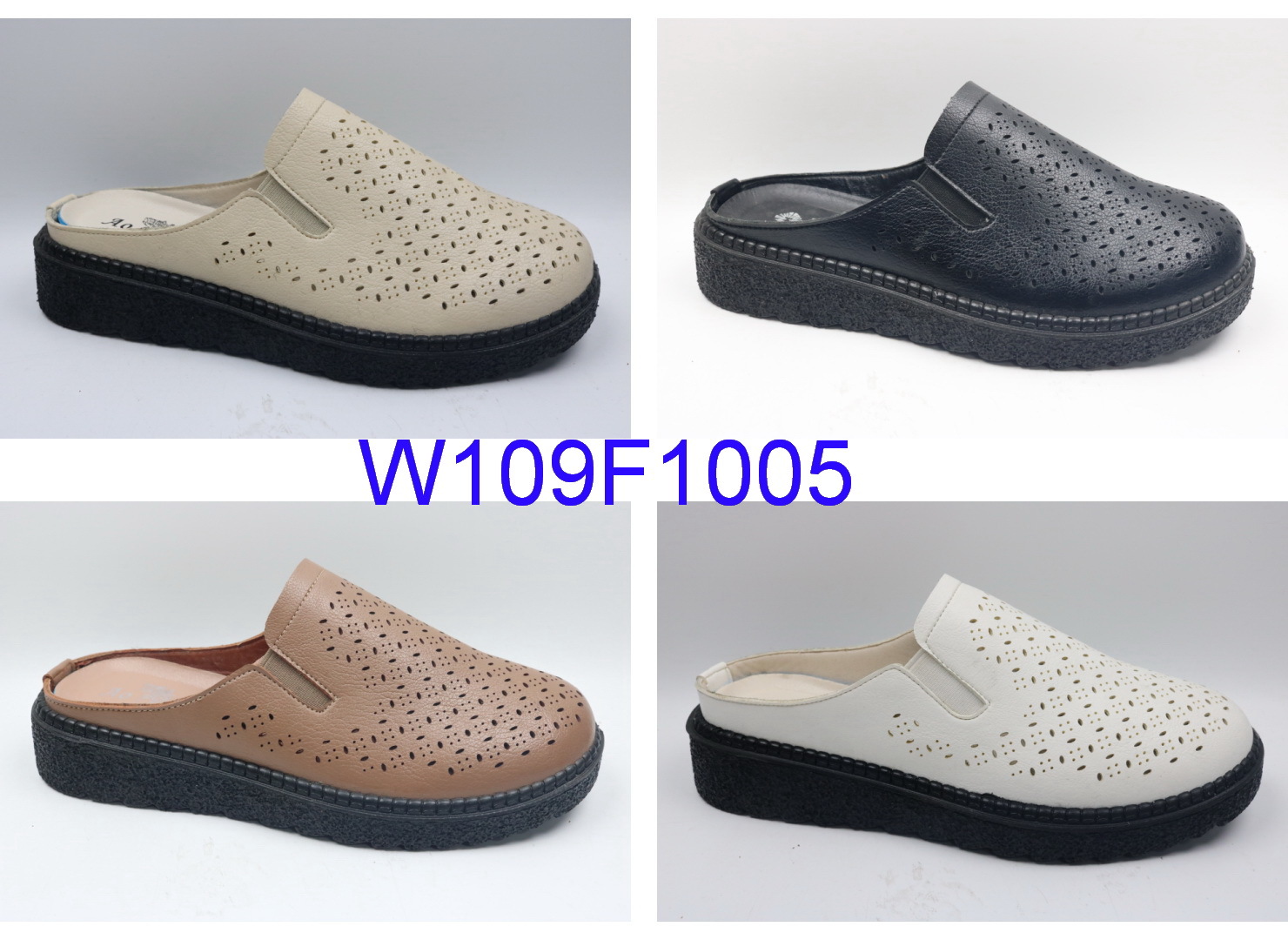 W109F1005