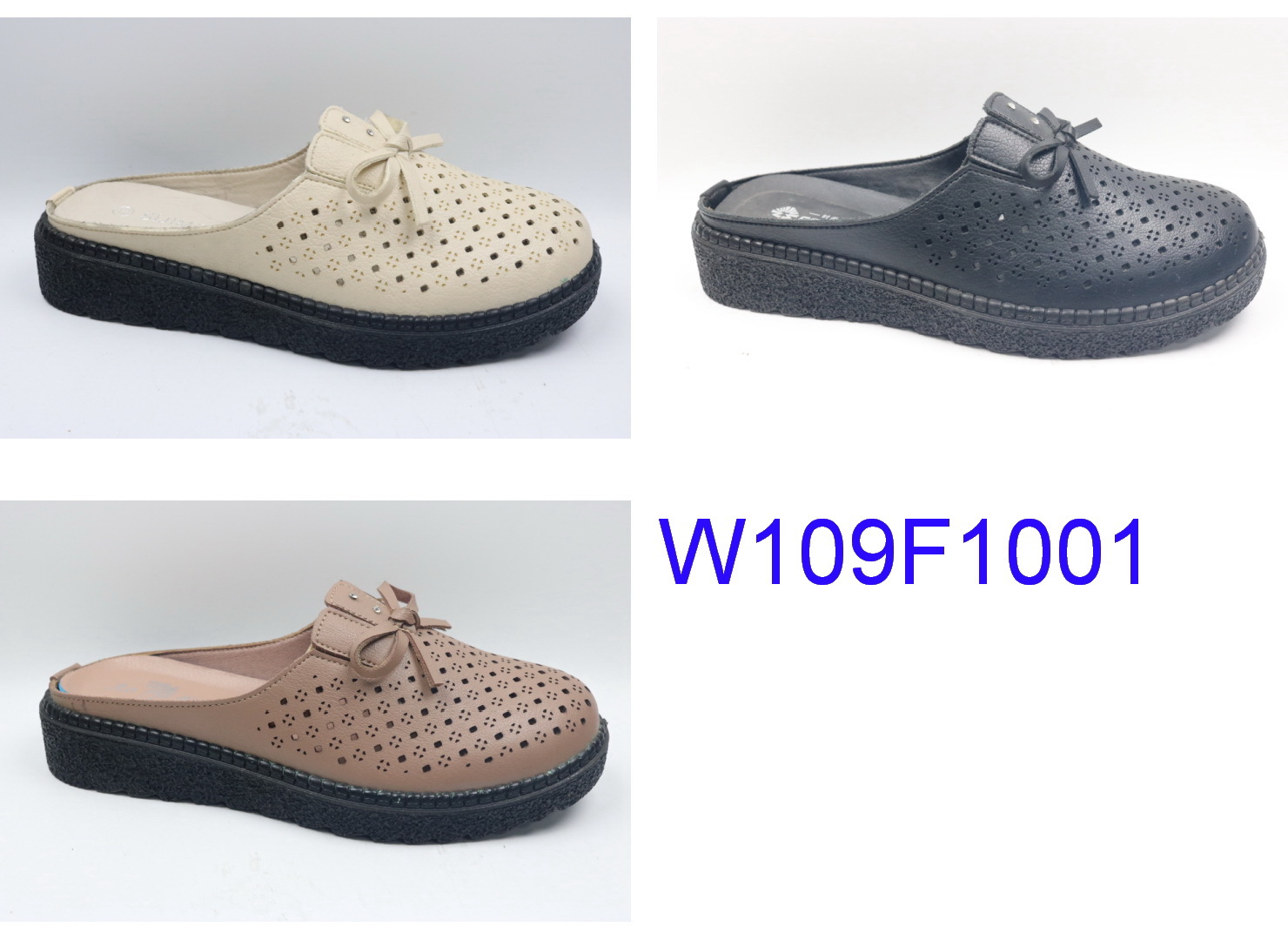 W109F1001