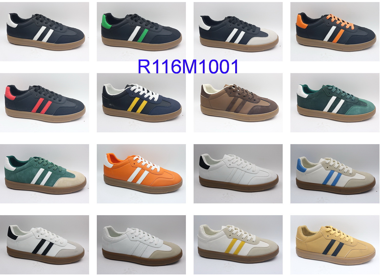 R116M1001