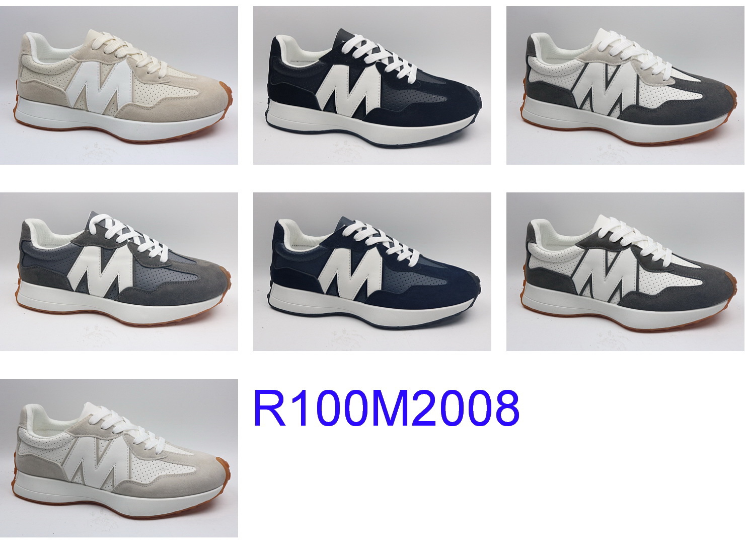 R100M2008