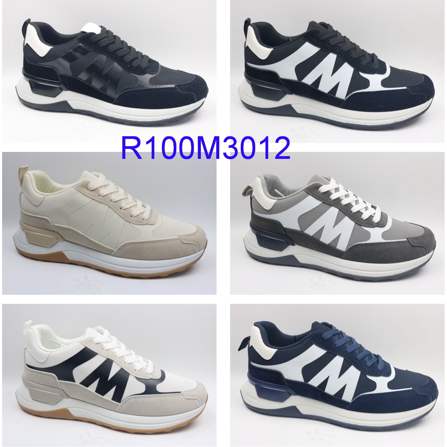 R100M3012