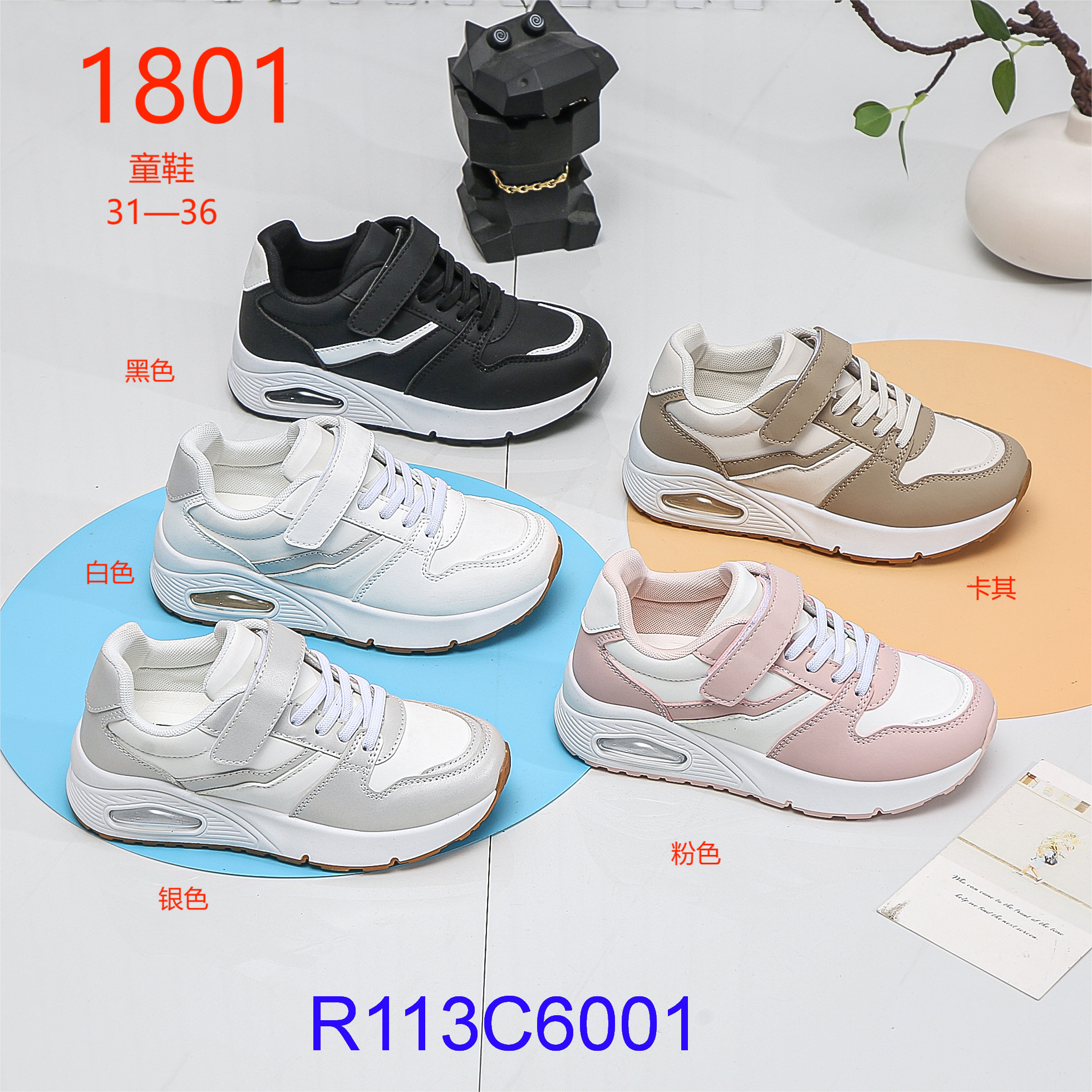 R113C6001