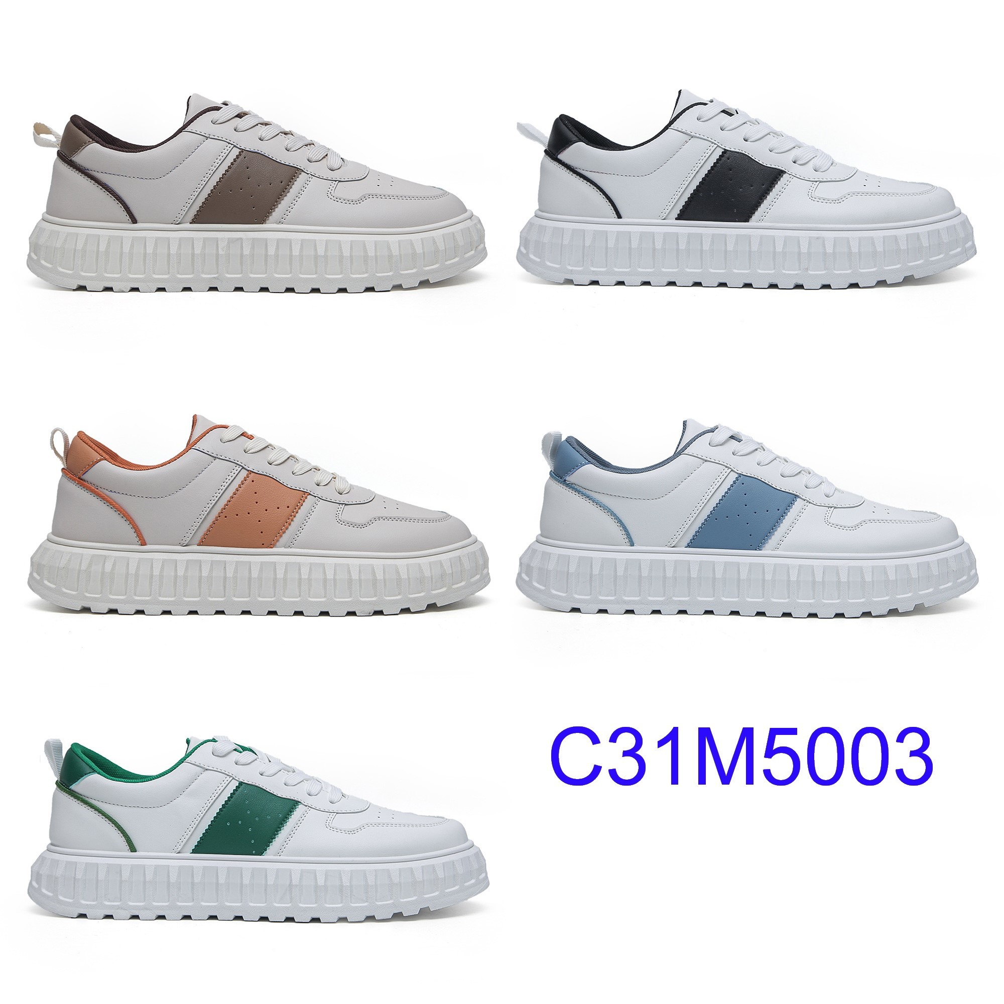 C31M5003
