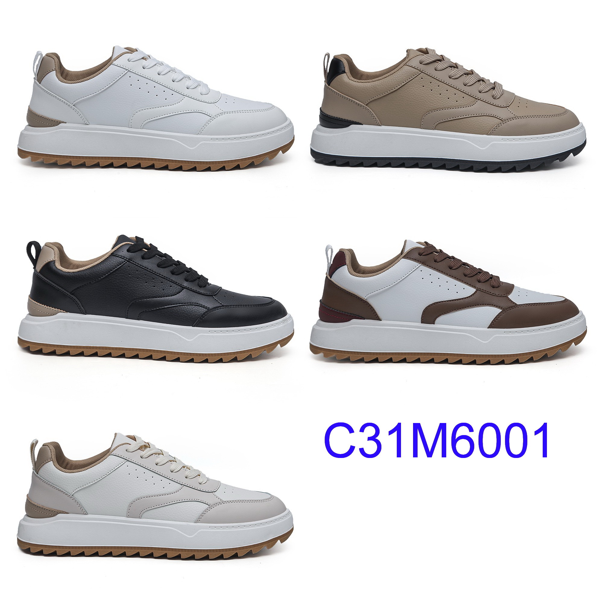 C31M6001