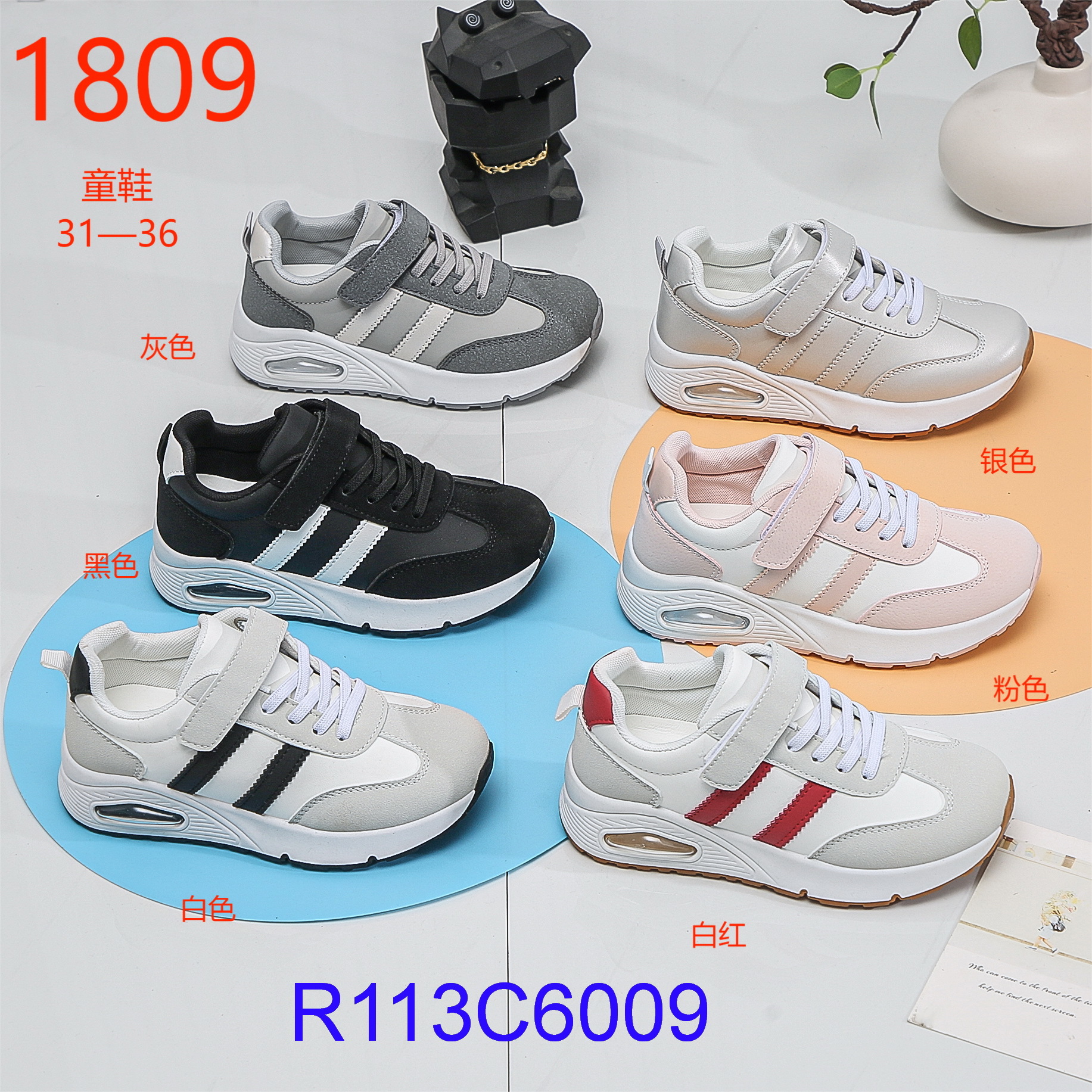 R113C6009