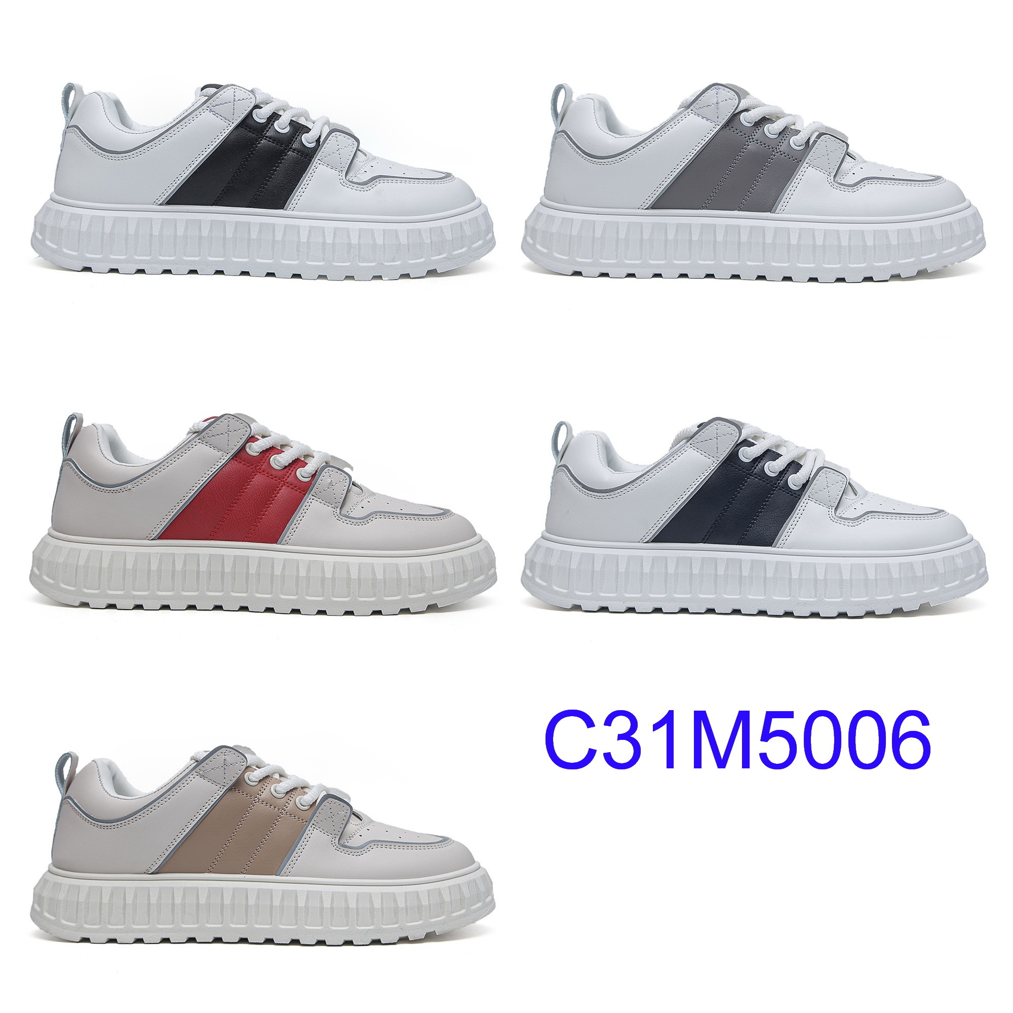 C31M5006