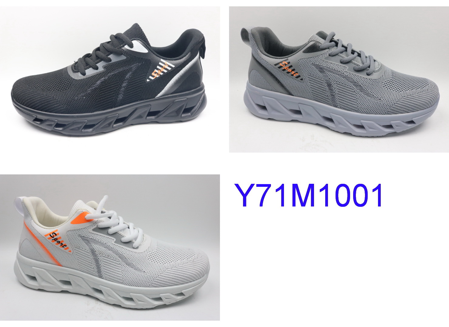 Y71M1001