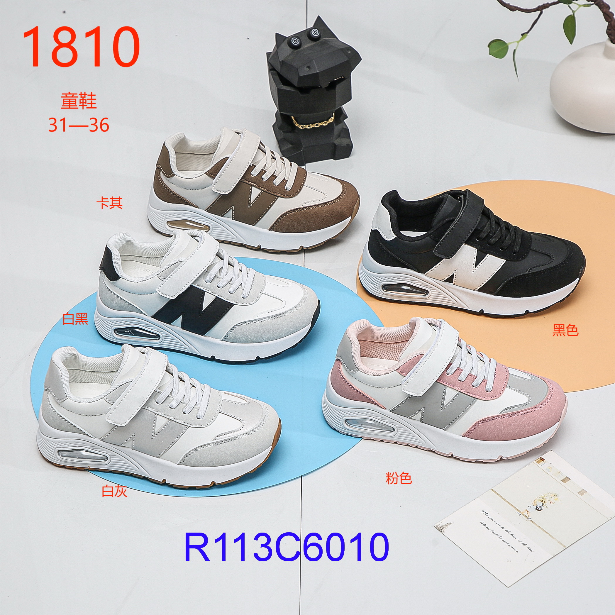 R113C6010