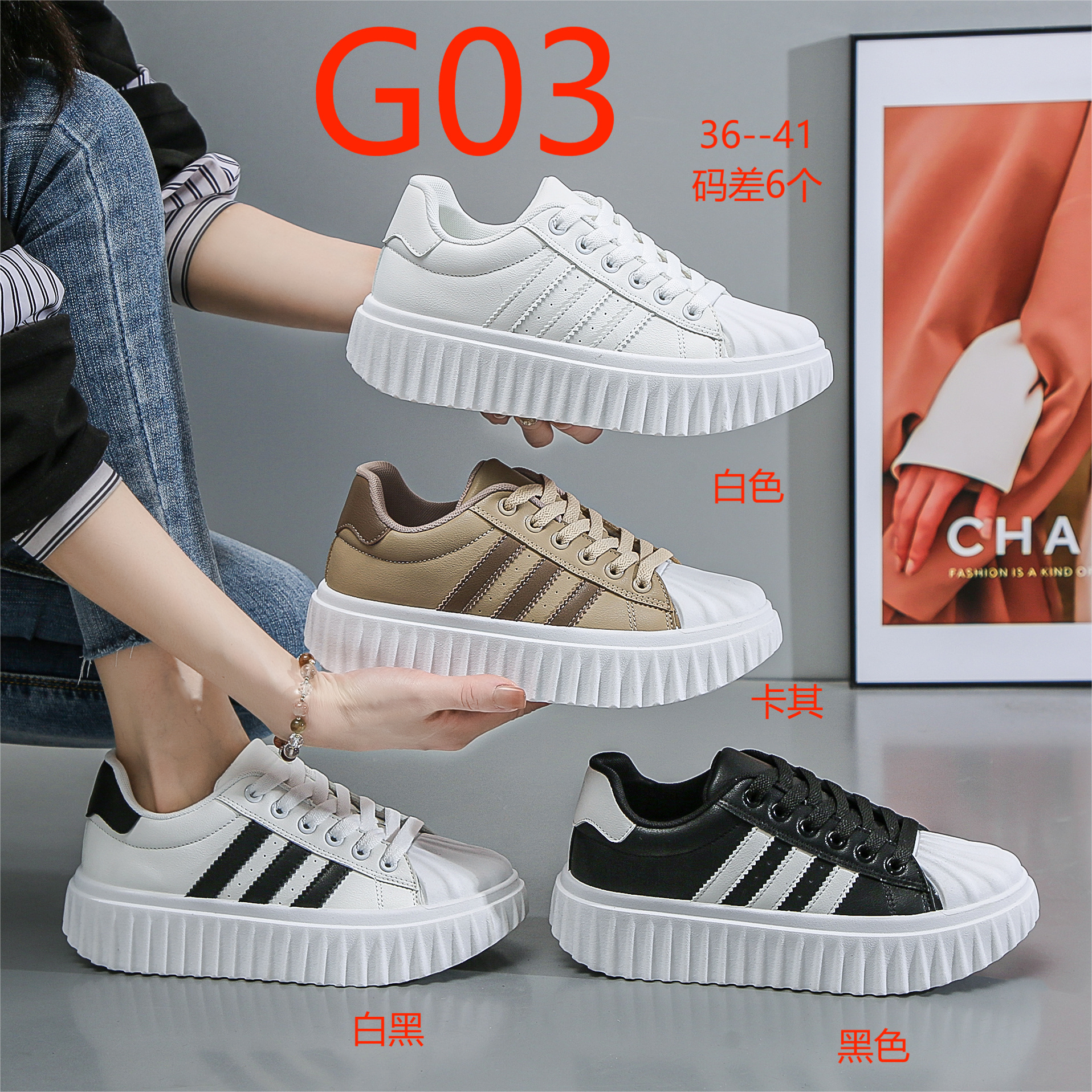 R113F13003
