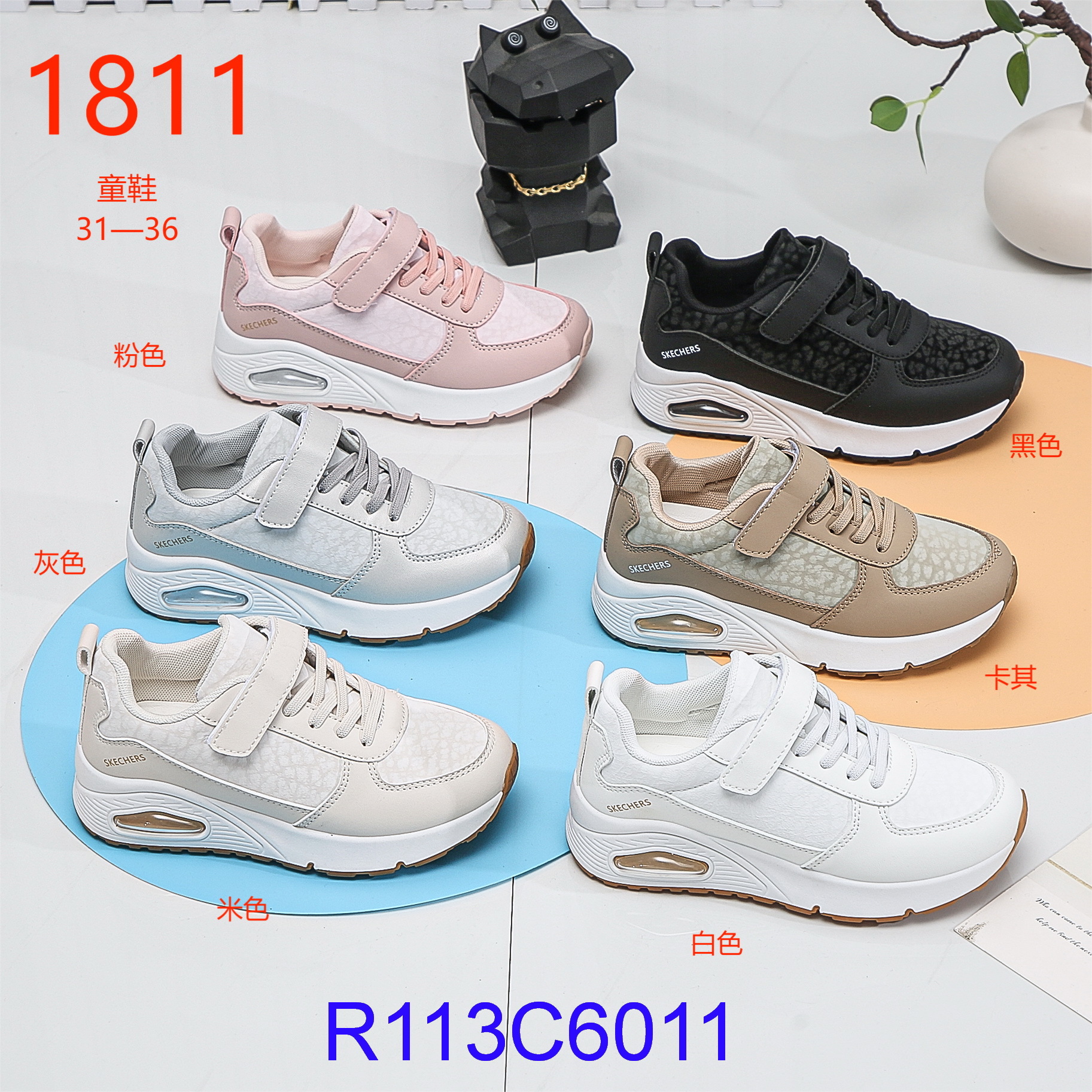R113C6011