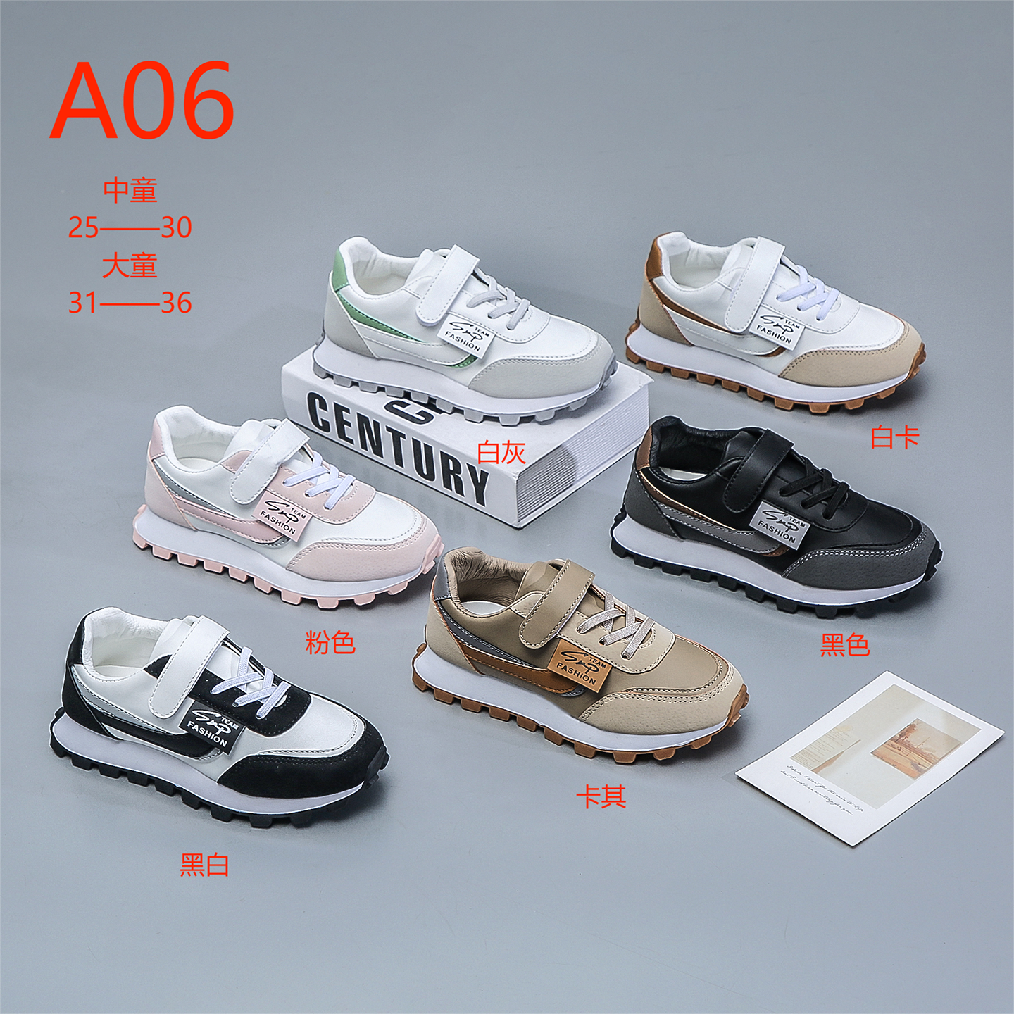 C89C1006