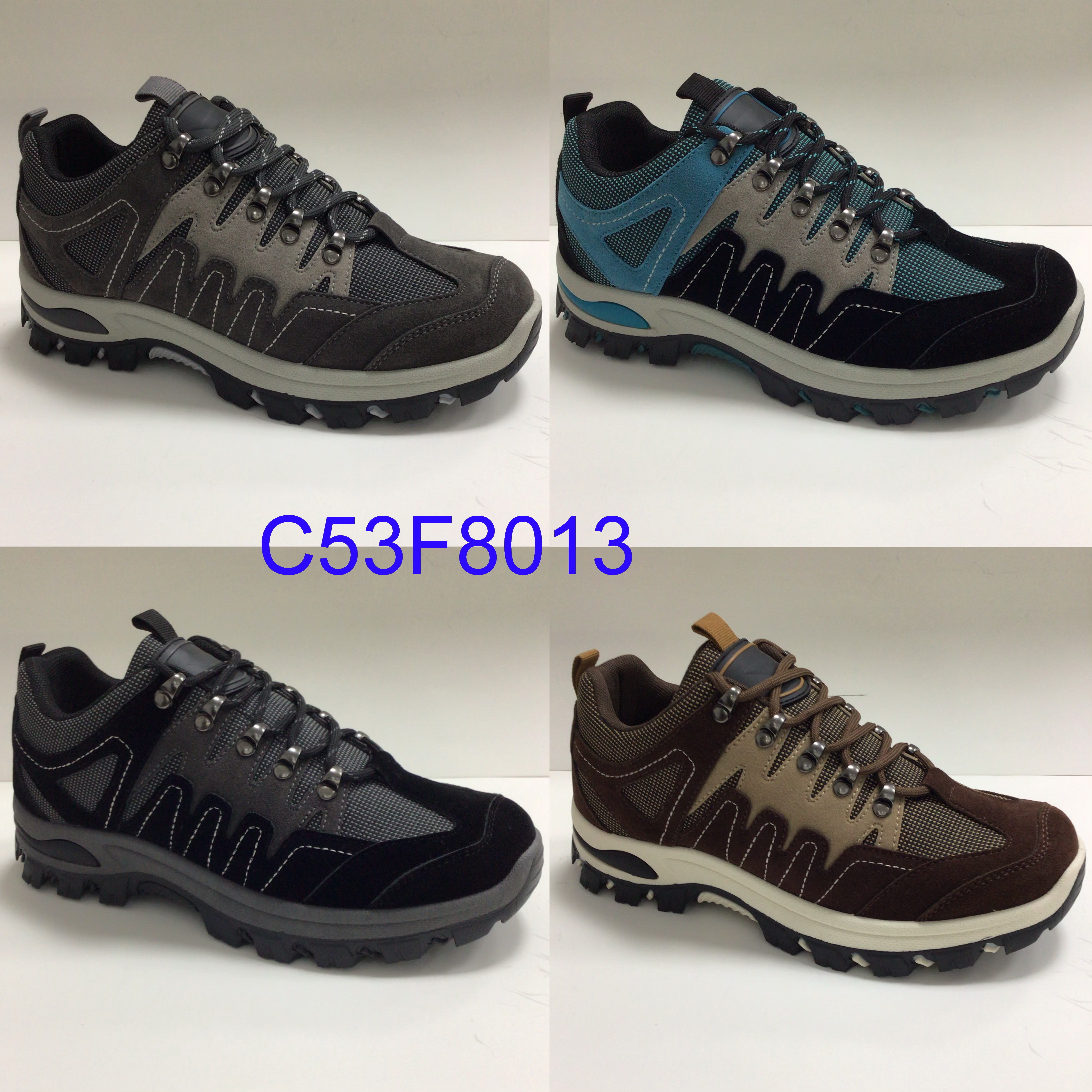 C53F8013