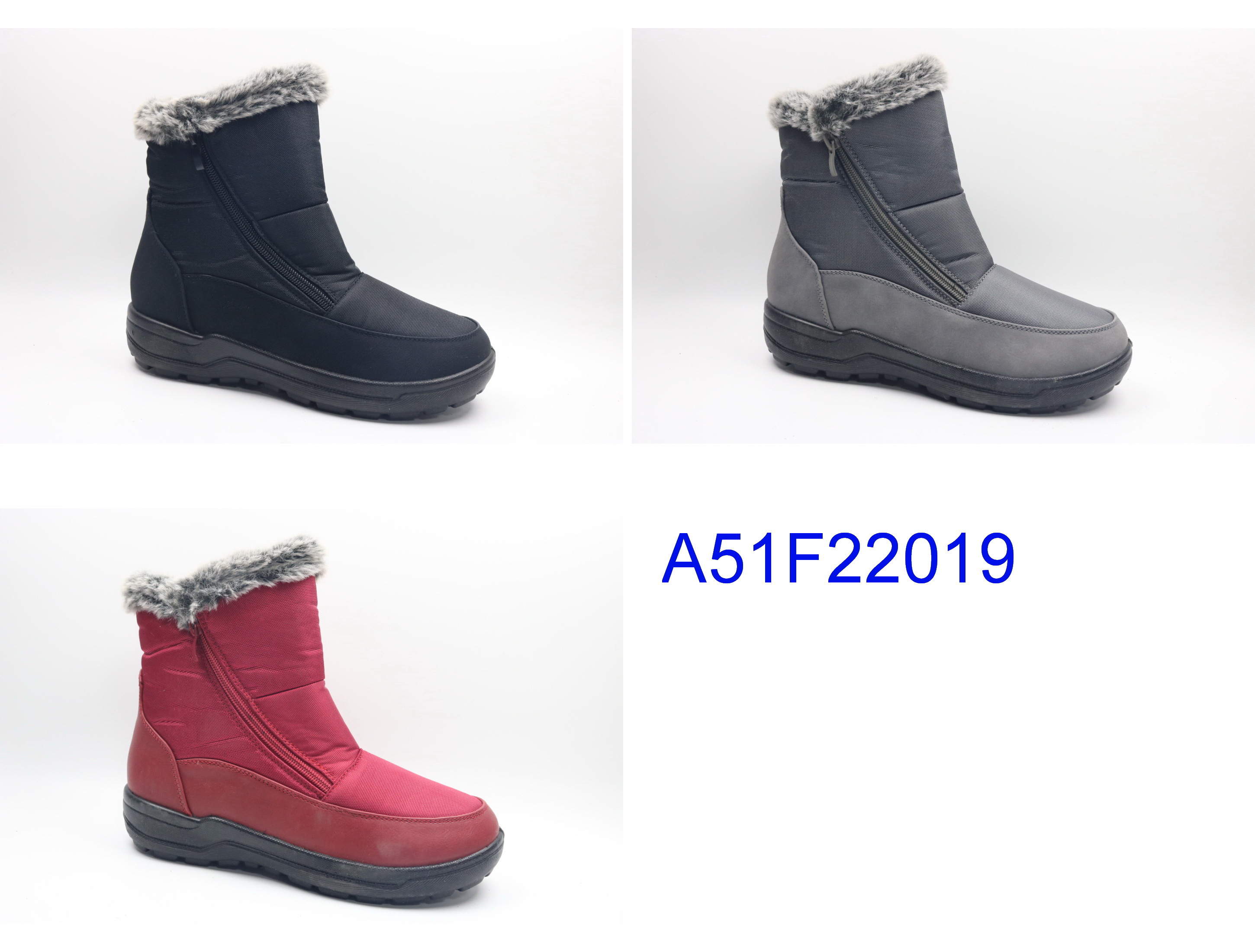 A51F22019