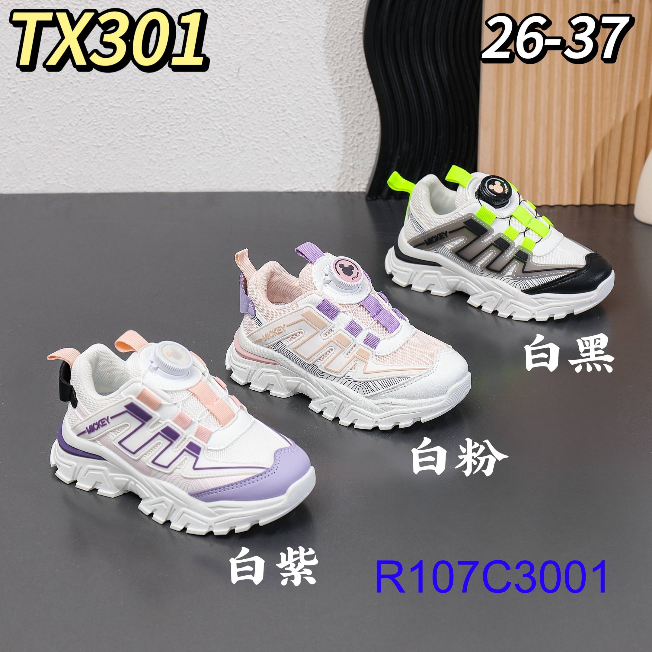 R107C3001