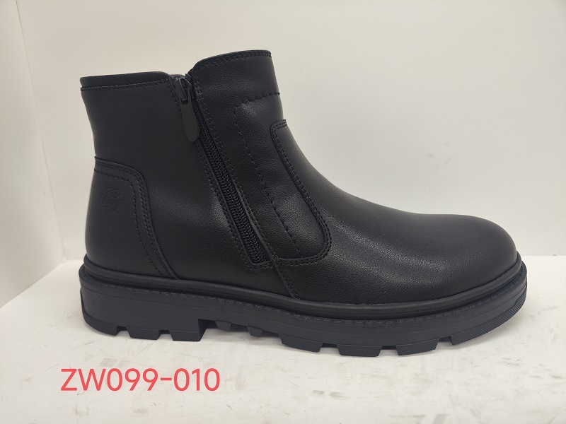 ZW099-010