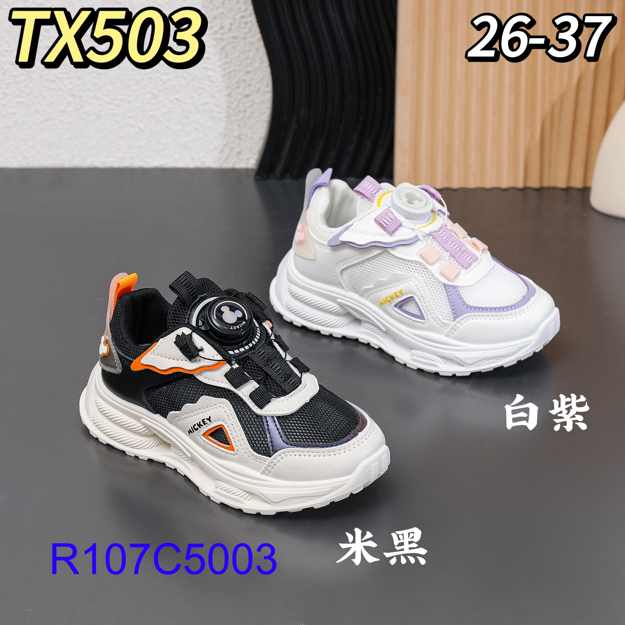 R107C5003