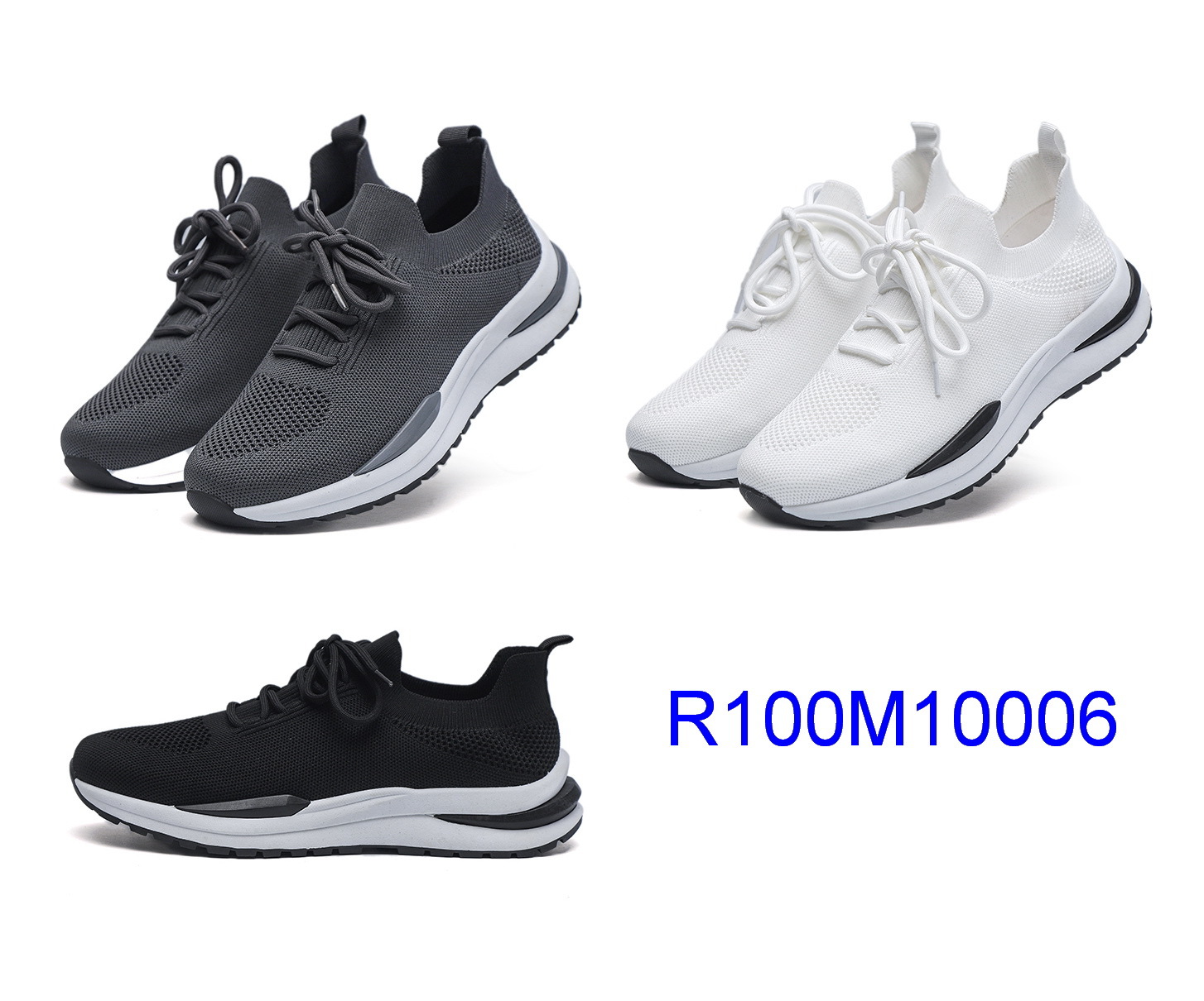 R100M10006