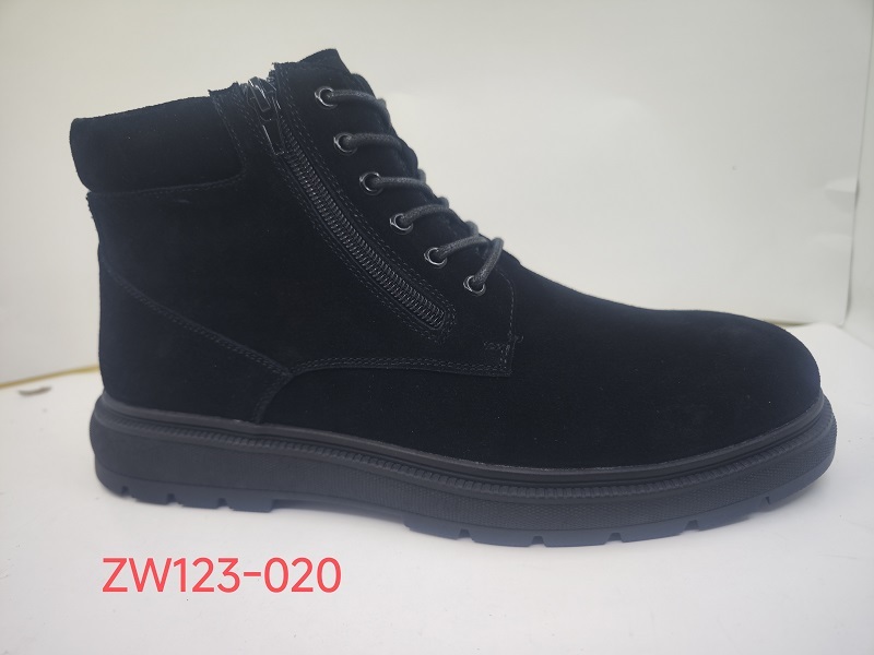 ZW123-020