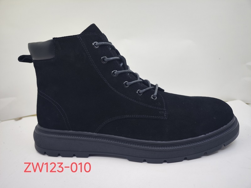 ZW123-010