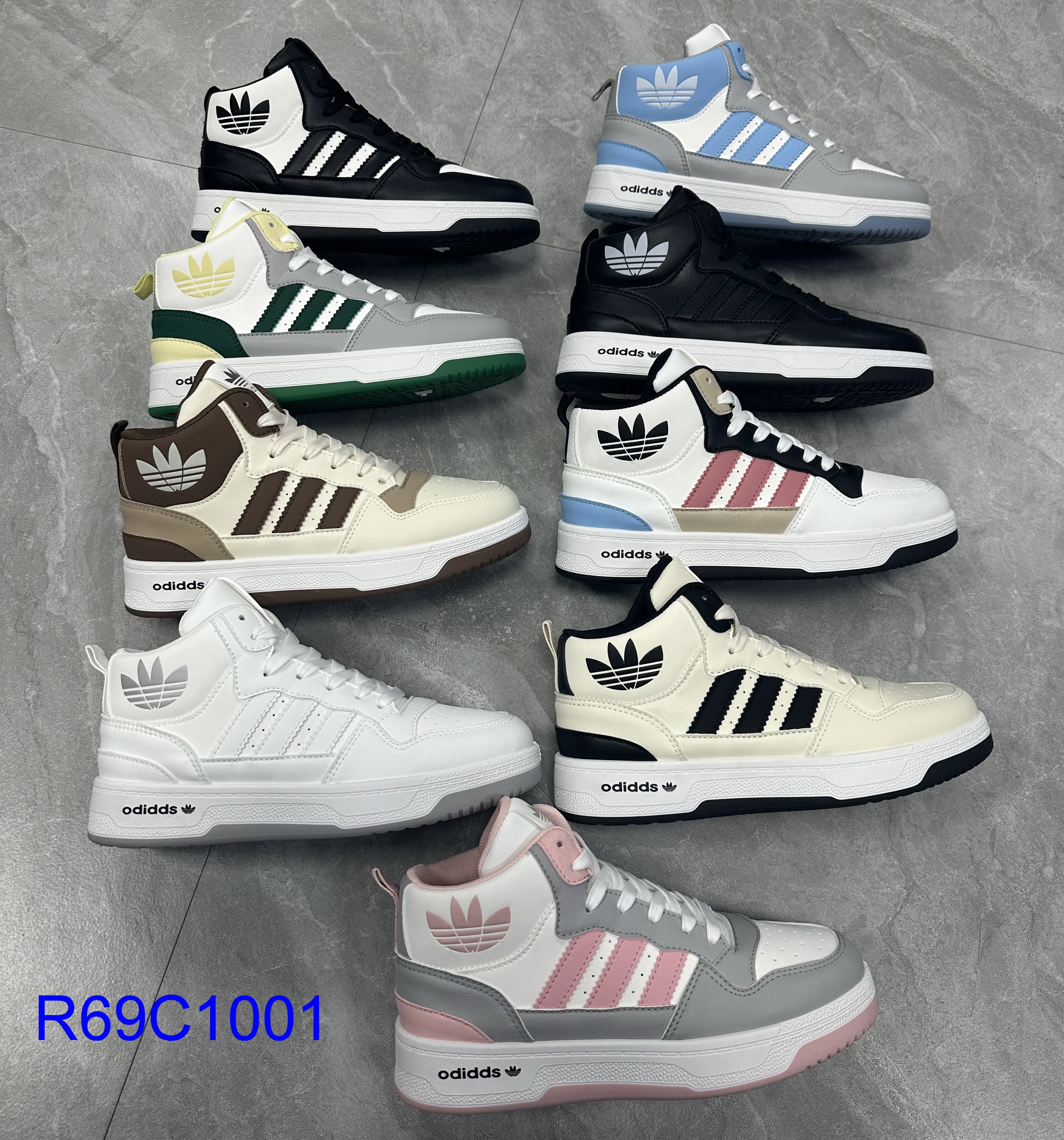 R69C1001