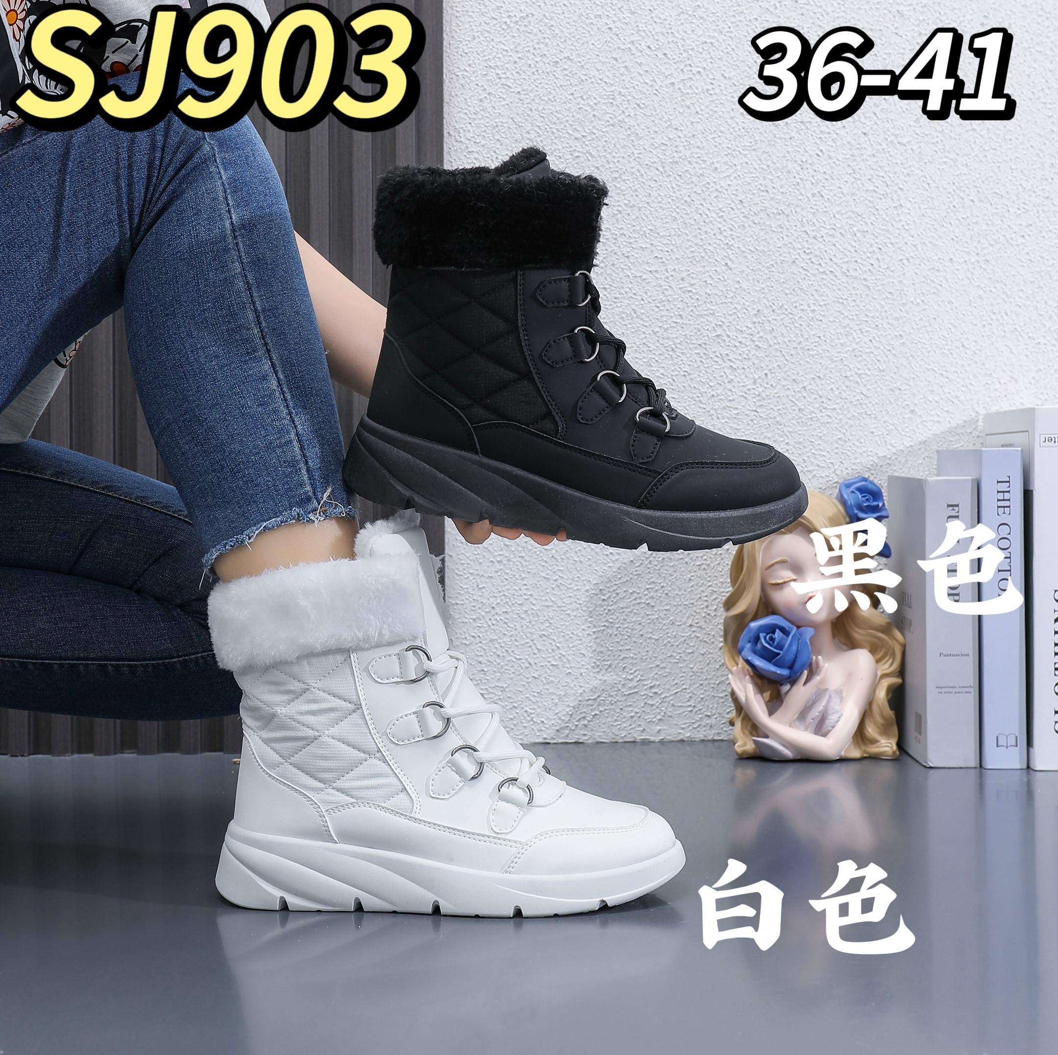 R107F27003