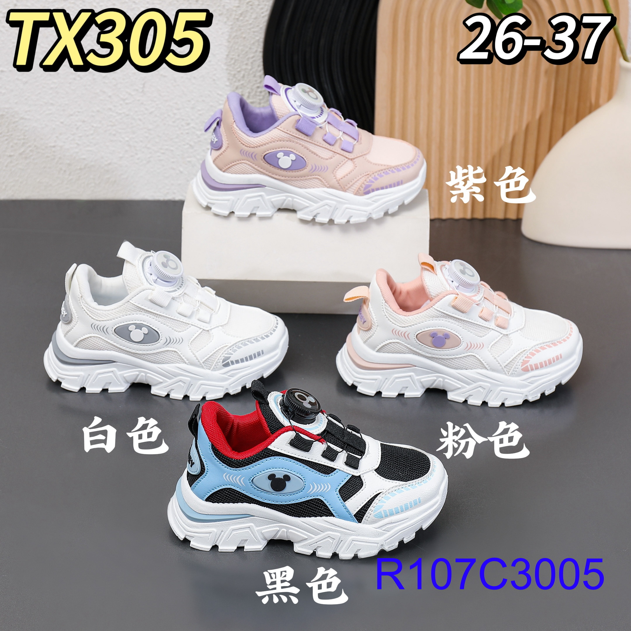 R107C3005